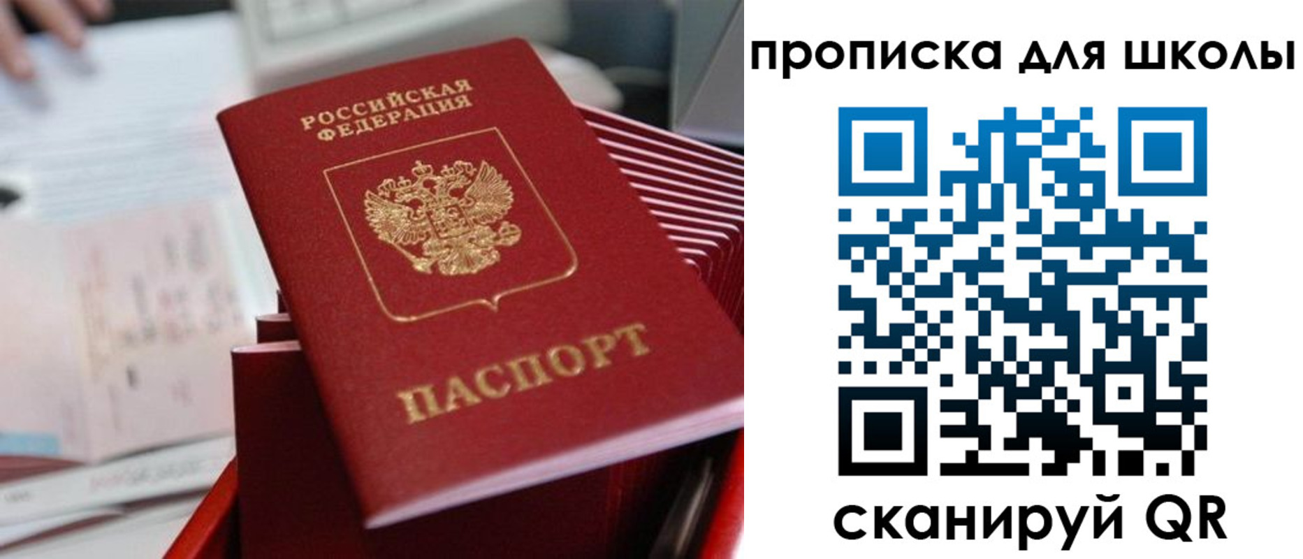 прописка для школы в Михайлове